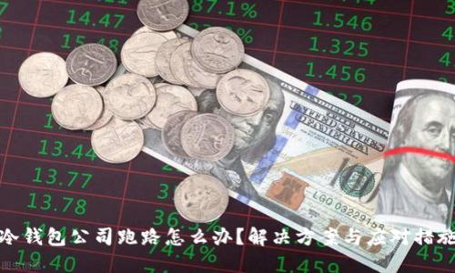 冷钱包公司跑路怎么办？解决方案与应对措施