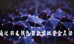 如何通过羽毛钱包贷款实现资金灵活周转？