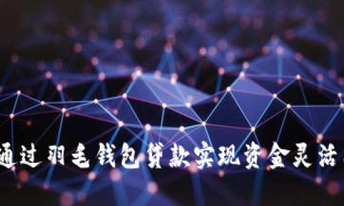 如何通过羽毛钱包贷款实现资金灵活周转？