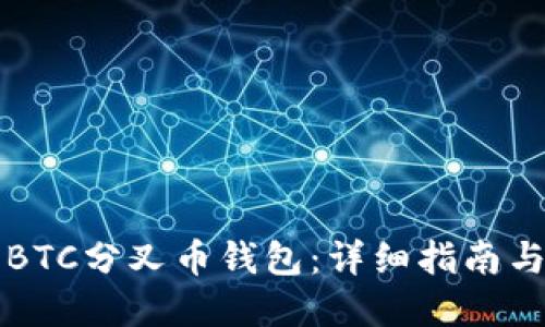 如何同步BTC分叉币钱包：详细指南与最佳实践