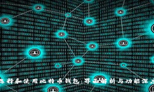 如何选择和使用比特币钱包:界面解析与功能深度分析