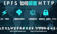 数字钱包的监管现状与未