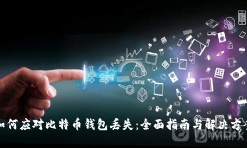 如何应对比特币钱包丢失：全面指南与解决方案