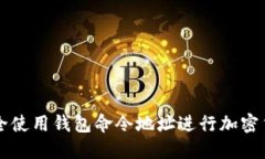 如何安全使用钱包命令地