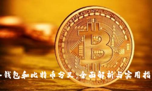 冷钱包和比特币分叉：全面解析与实用指南
