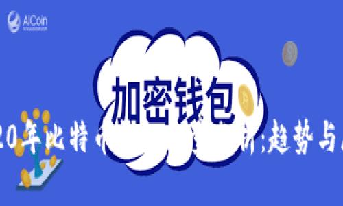 2020年比特币钱包容量分析：趋势与展望