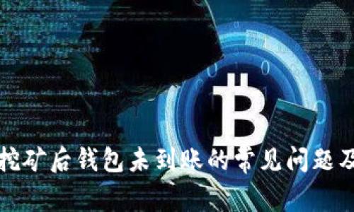 如何解决挖矿后钱包未到账的常见问题及解决方案