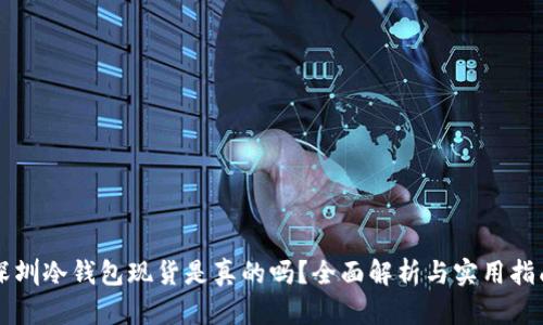 深圳冷钱包现货是真的吗？全面解析与实用指南