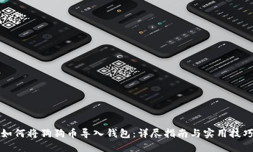 如何将狗狗币导入钱包：详尽指南与实用技巧