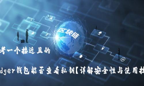 思考一个接近且的

Ledger钱包能否查看私钥？详解安全性与使用技巧