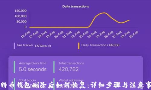 
比特币钱包删除后如何恢复：详细步骤与注意事项