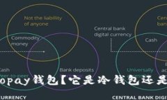 什么是xopay钱包？它是冷钱