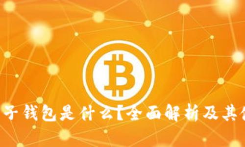 : ETC电子钱包是什么？全面解析及其使用指南