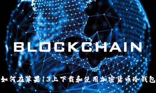 如何在苹果13上下载和使用加密货币冷钱包