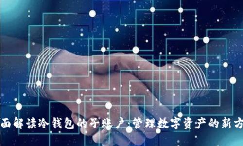 全面解读冷钱包的子账户：管理数字资产的新方式