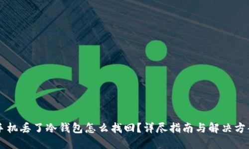 手机丢了冷钱包怎么找回？详尽指南与解决方案