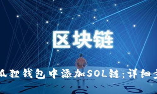如何在小狐狸钱包中添加SOL链：详细步骤与解析