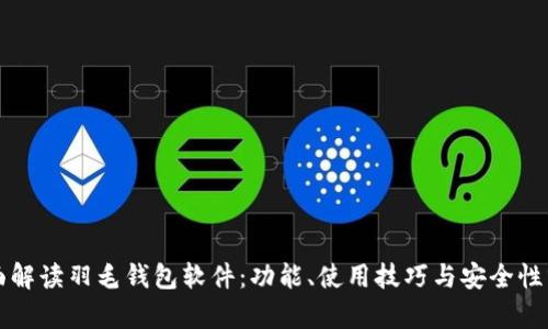 全面解读羽毛钱包软件：功能、使用技巧与安全性分析