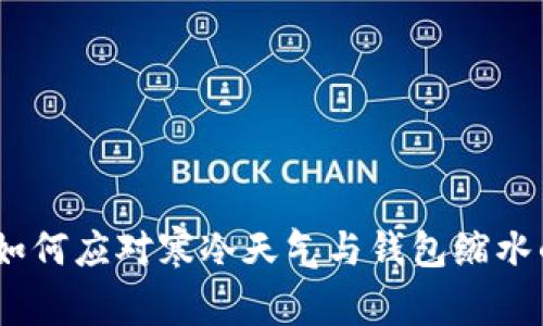 冬季来临，如何应对寒冷天气与钱包缩水的双重挑战
