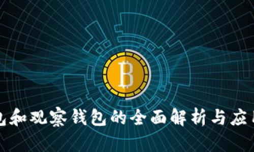 冷钱包和观察钱包的全面解析与应用指南