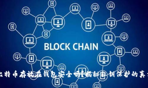 比特币存放在钱包安全吗？揭秘私钥保护的真相