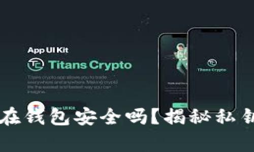 比特币存放在钱包安全吗？揭秘私钥保护的真相