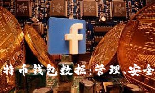 全面解读比特币钱包数据：管理、安全与使用方法