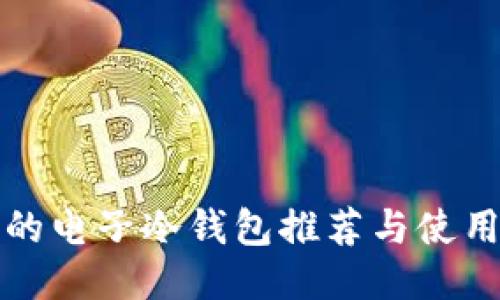 安全的电子冷钱包推荐与使用指南
