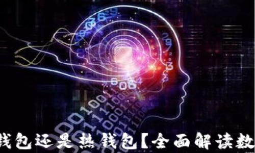 
Mate钱包究竟是冷钱包还是热钱包？全面解读数字资产安全存储方式