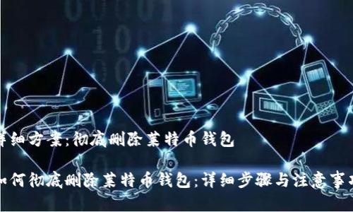 详细方案：彻底删除莱特币钱包

如何彻底删除莱特币钱包：详细步骤与注意事项