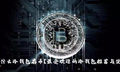 大家用什么冷钱包存币？最受欢迎的冷钱包推荐与使用指南