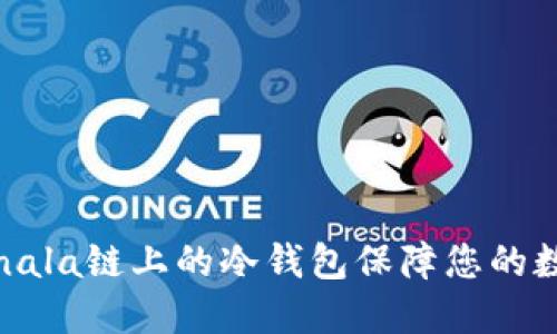 如何使用Sonala链上的冷钱包保障您的数字资产安全