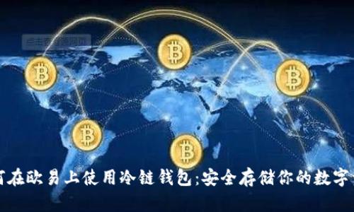 如何在欧易上使用冷链钱包：安全存储你的数字资产