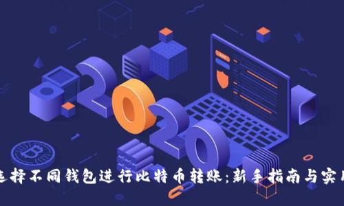 如何选择不同钱包进行比特币转账：新手指南与实用推荐