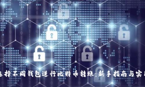 如何选择不同钱包进行比特币转账：新手指南与实用推荐