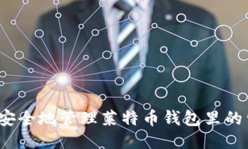如何安全地管理莱特币钱包里的公钥？