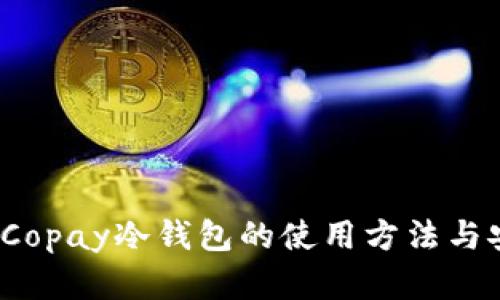 深入探索：Copay冷钱包的使用方法与安全性分析