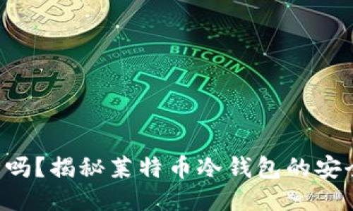 LTC冷钱包安全吗？揭秘莱特币冷钱包的安全性与使用指南